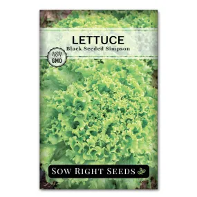 Black Seeded Simpson Lettuce